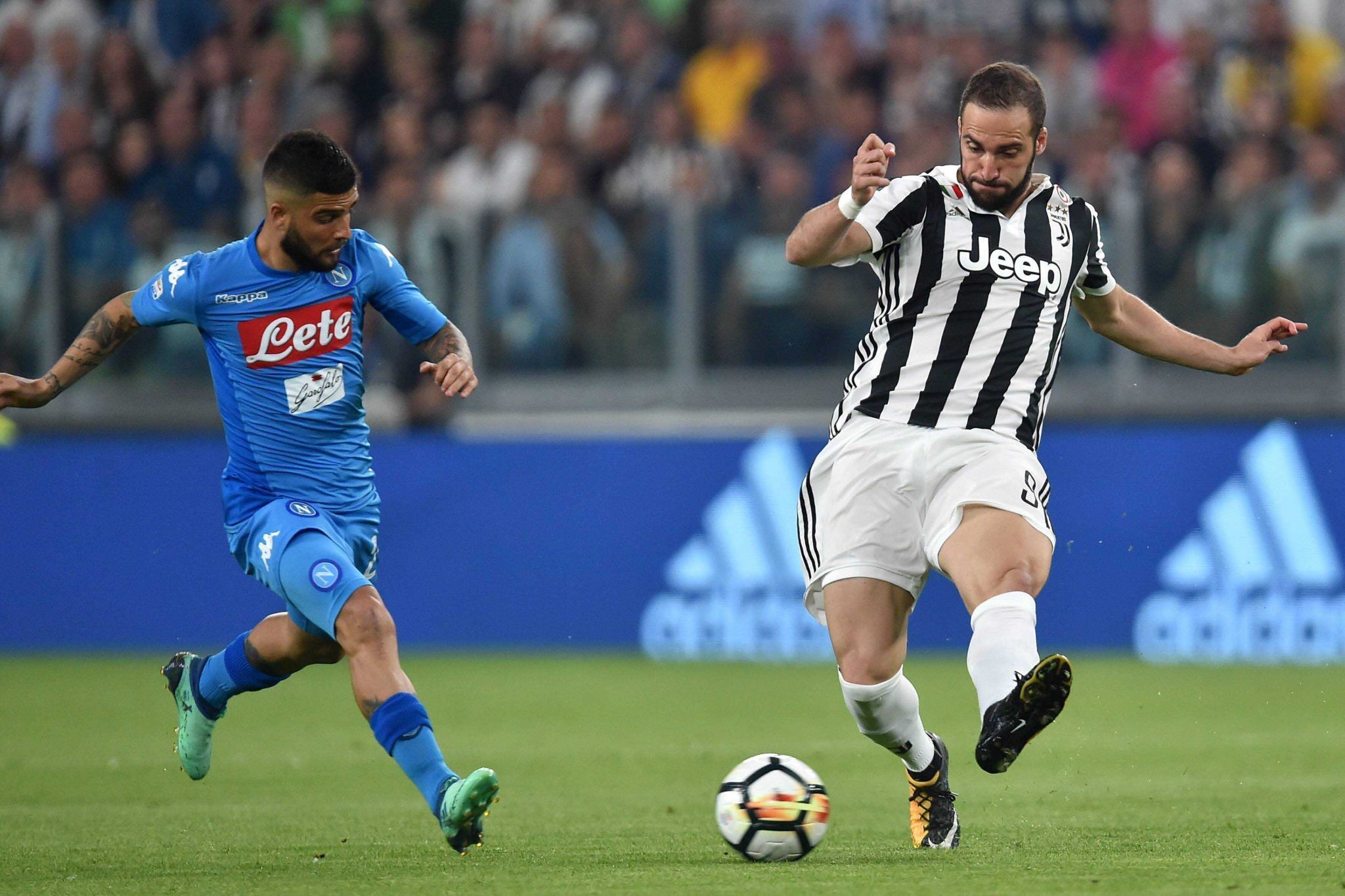 IP具备长 IP具备长